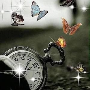 Meet your Posher, Chila